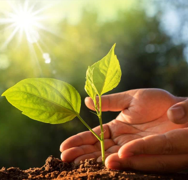 Công ty TNHH Băng dính Jiangsu Shixin, Ltd.