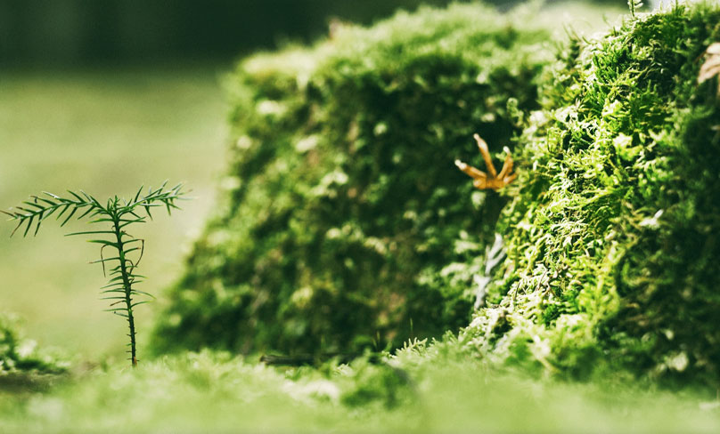 Công ty TNHH Băng dính Jiangsu Shixin, Ltd.